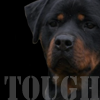 Tough Dog