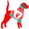 Football Club Dog Names