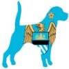 Football Club Dog Names