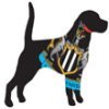 Football Club Dog Names