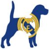 Football Club Dog Names