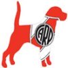 Football Club Dog Names