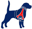 Football Club Dog Names