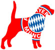 Football Club Dog Names