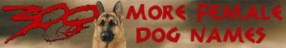 300 Female Dog Names