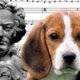 Classical music