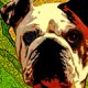 Unique Dog Names