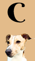 C Girl Dog Names