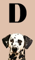 D Girl Dog Names