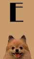 E Girl Dog Names