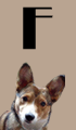 F Girl Dog Names
