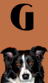 G Girl Dog Names
