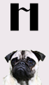 H Girl Dog Names