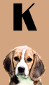 K Girl Dog Names