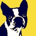 Rare Dog Names