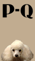 P-Q Girl Dog Names