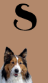 S Girl Dog Names