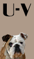 U-V Girl Dog Names