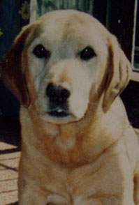 Benny
