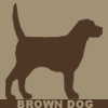 Brown Dogs