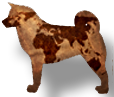 Foreign Dog Names