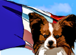 French Dog Names