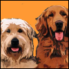 Girlboy Dog Names