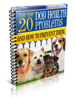 Dog Health Report Cover