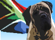 South African Dog Names