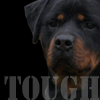  Tough Dog