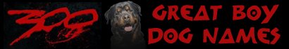 300 Boy Dog Names