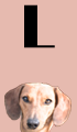 L Girl Dog Names