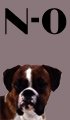 N-O Girl Dog Names