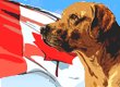 Canadian Dog Names