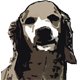 Cocker Spaniel Dog Art