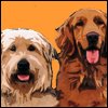 Girlboy Dog Names