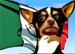 Mexican Dog Names