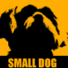  Small Dogs