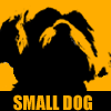 Small Dogs