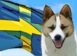 Swedish Dog Names