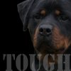  Tough Dog