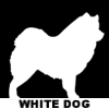 White Dogs